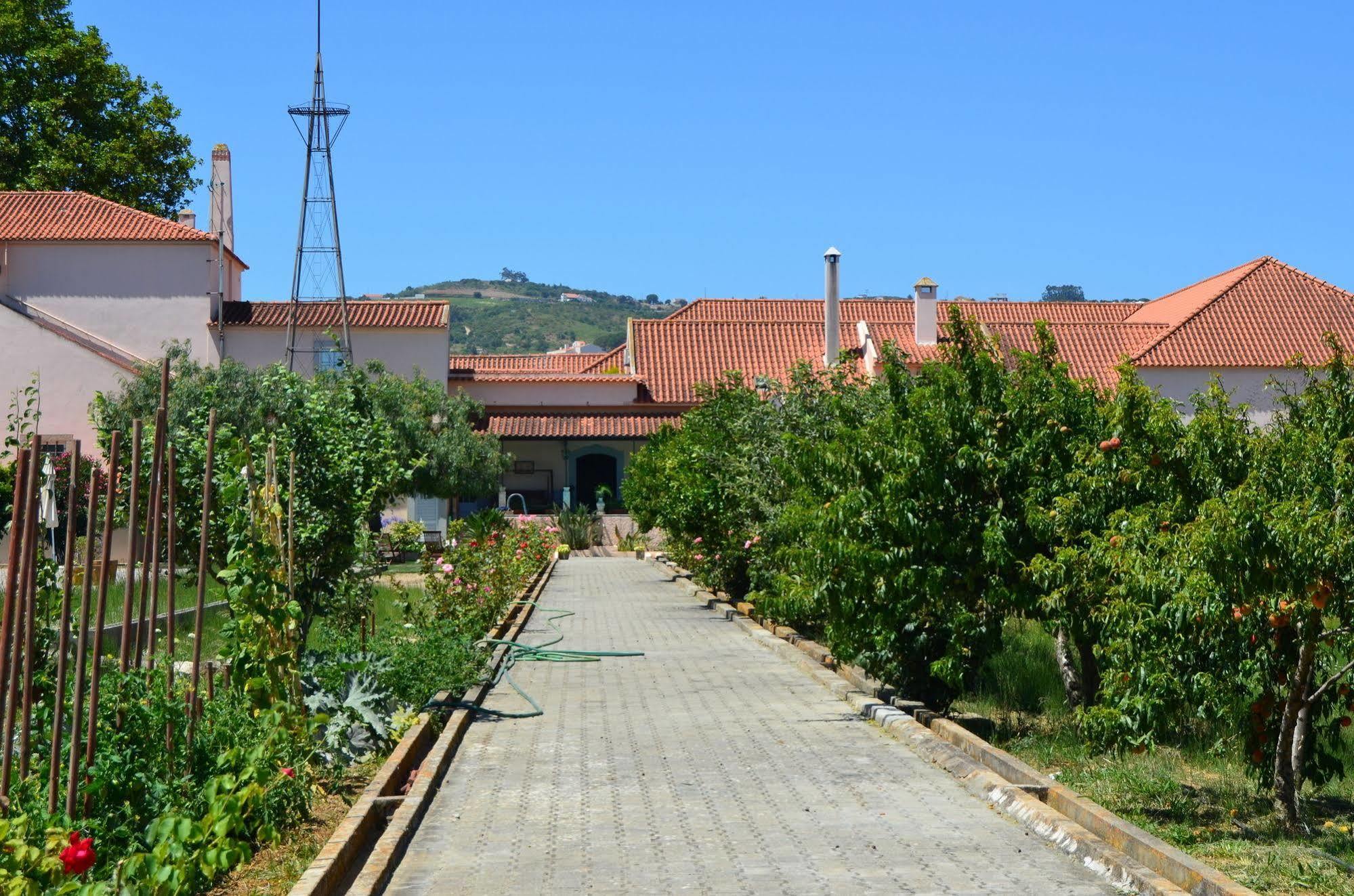 Quinta Do Covanco Alenquer Exteriér fotografie