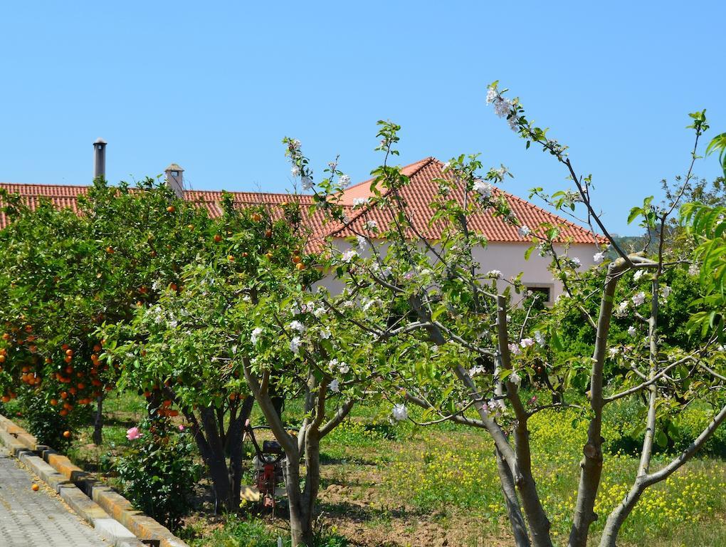 Quinta Do Covanco Alenquer Exteriér fotografie